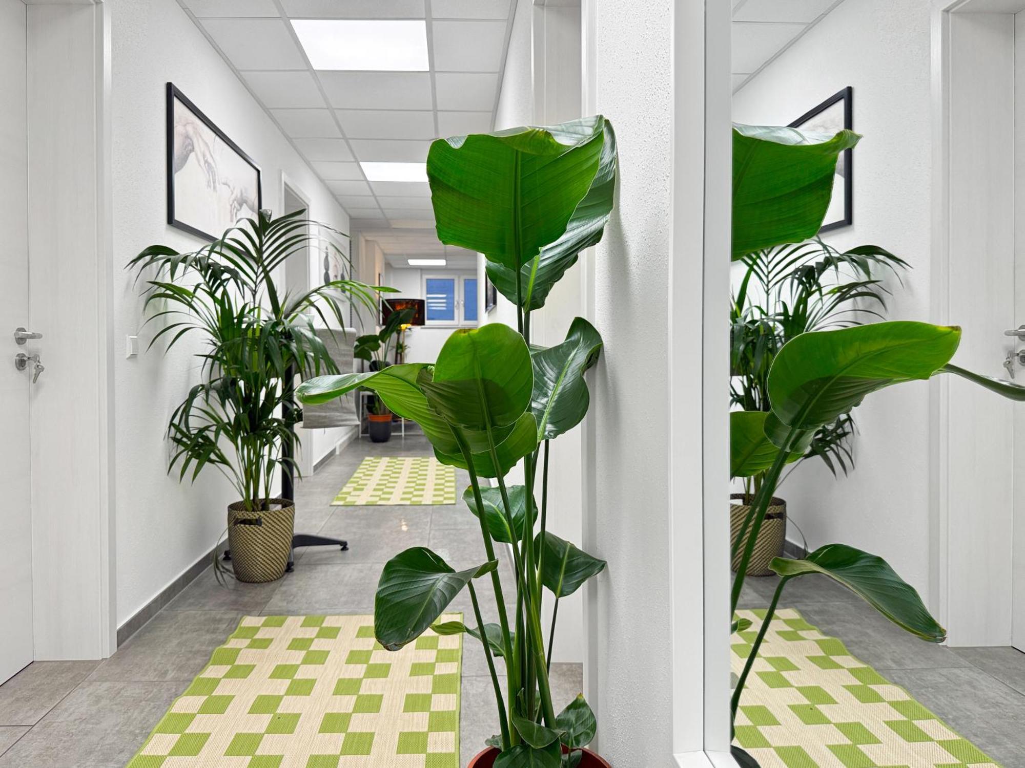 Group Friendly Comfort Central Stuttgart Apartment Экстерьер фото